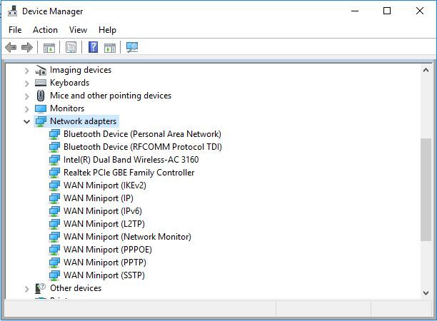 not showing display adapter device manager